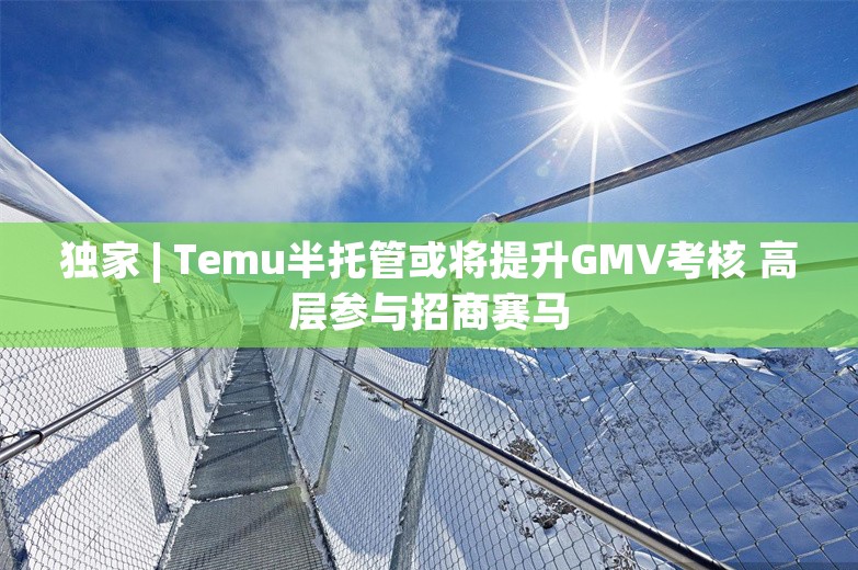 独家 | Temu半托管或将提升GMV考核 高层参与招商赛马