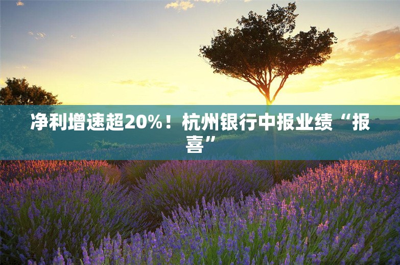 净利增速超20%！杭州银行中报业绩“报喜”