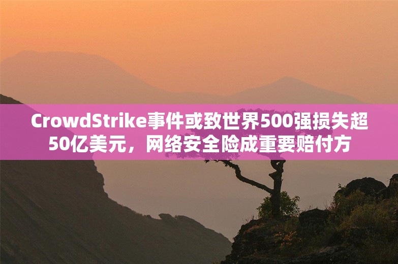 CrowdStrike事件或致世界500强损失超50亿美元，网络安全险成重要赔付方