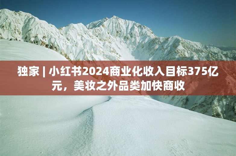 独家 | 小红书2024商业化收入目标375亿元，美妆之外品类加快商收