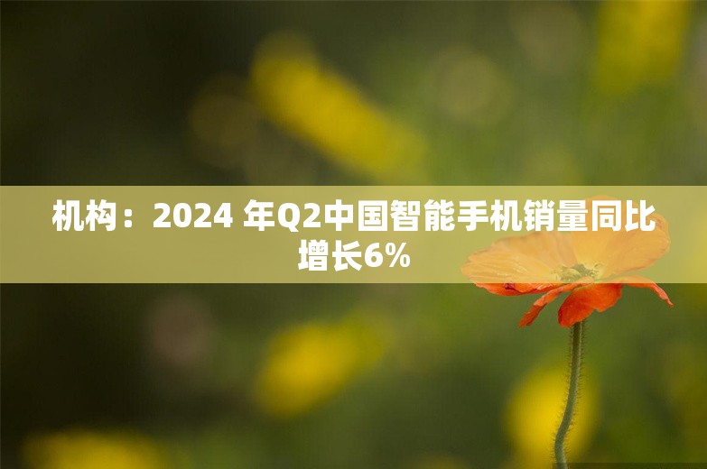 机构：2024 年Q2中国智能手机销量同比增长6%