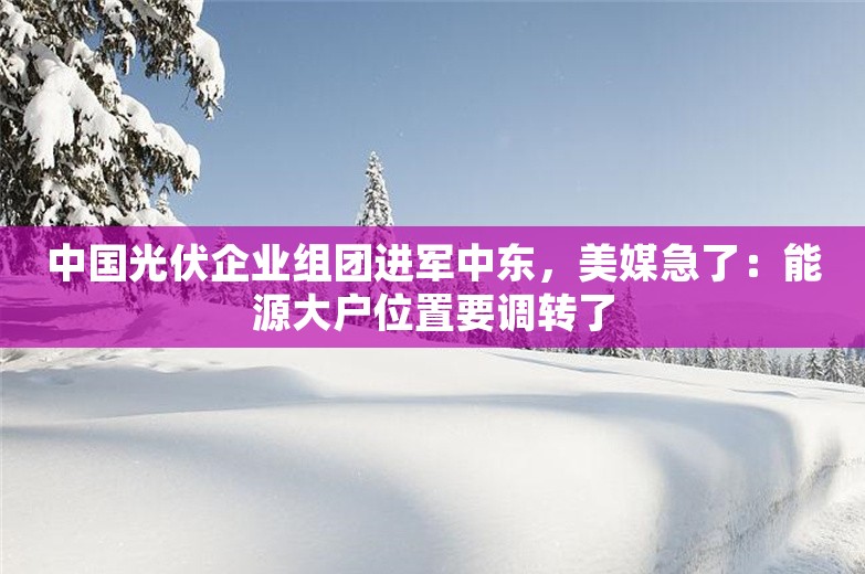 中国光伏企业组团进军中东，美媒急了：能源大户位置要调转了