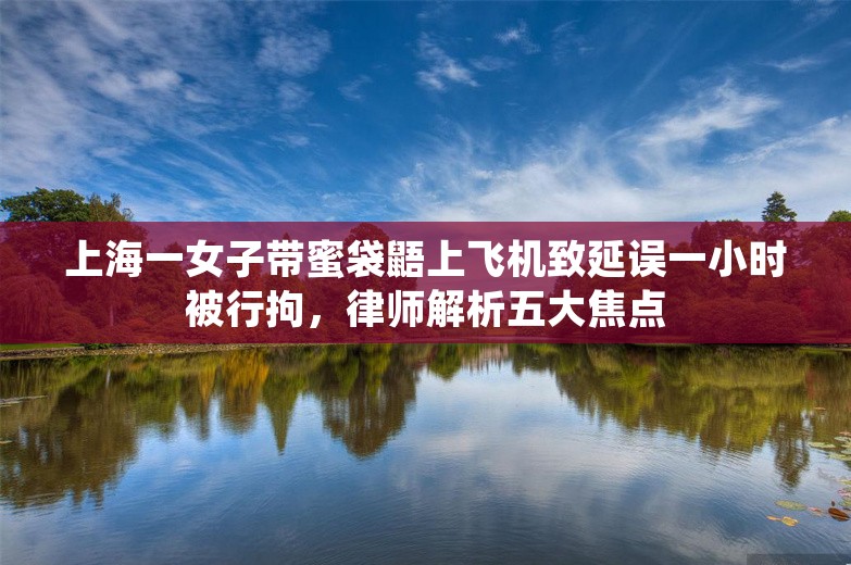 上海一女子带蜜袋鼯上飞机致延误一小时被行拘，律师解析五大焦点