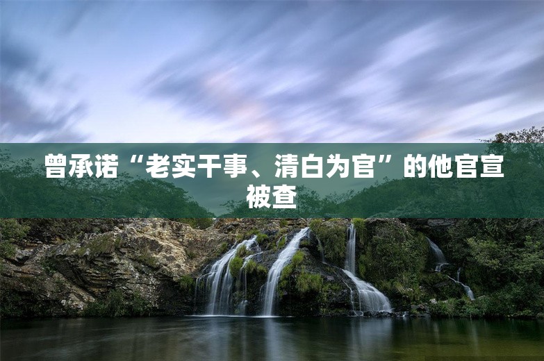 曾承诺“老实干事、清白为官”的他官宣被查