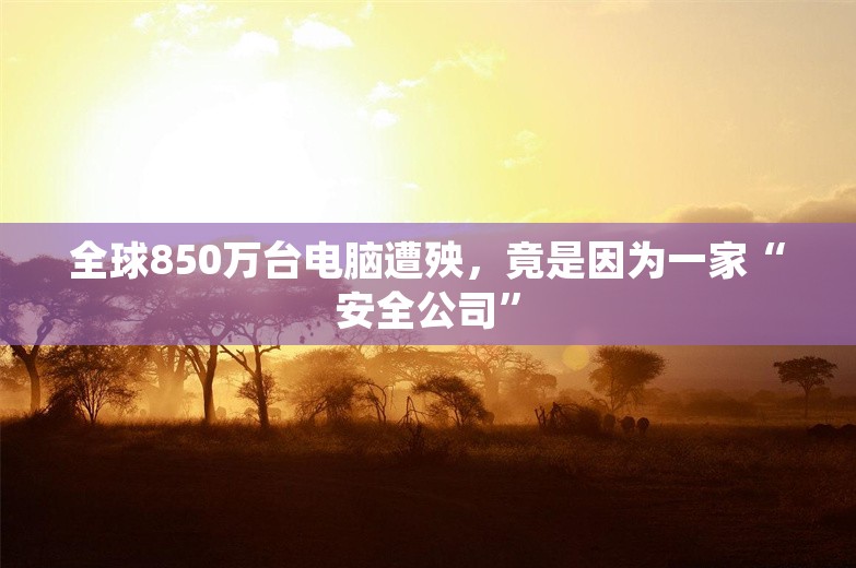 全球850万台电脑遭殃，竟是因为一家“安全公司”