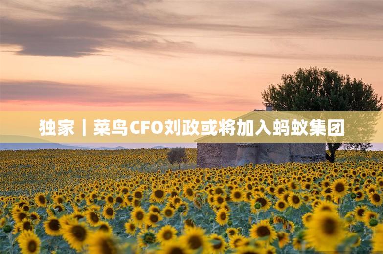 独家｜菜鸟CFO刘政或将加入蚂蚁集团