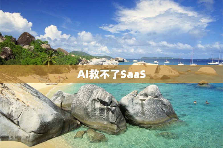 AI救不了SaaS