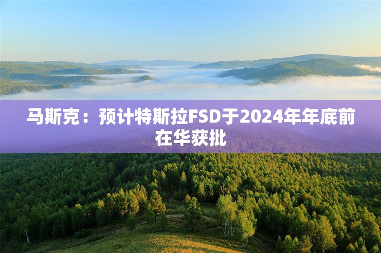 马斯克：预计特斯拉FSD于2024年年底前在华获批