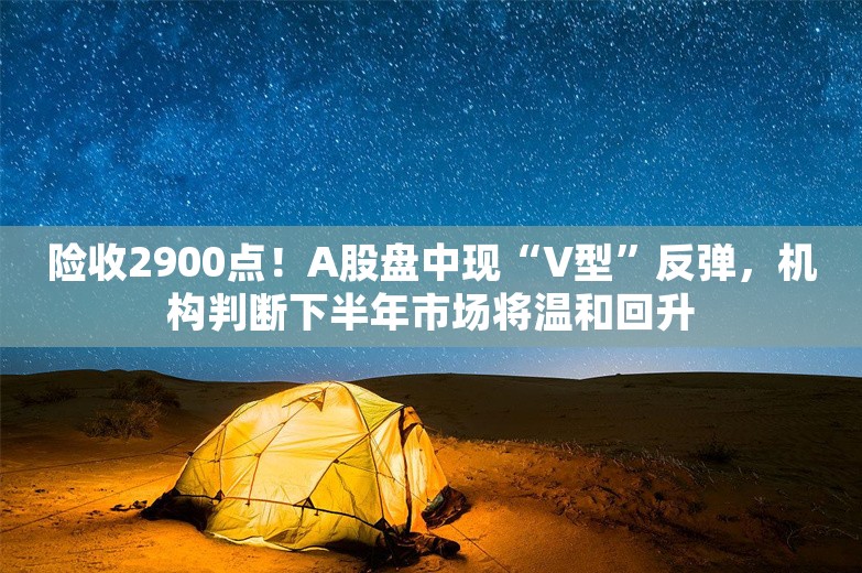 险收2900点！A股盘中现“V型”反弹，机构判断下半年市场将温和回升