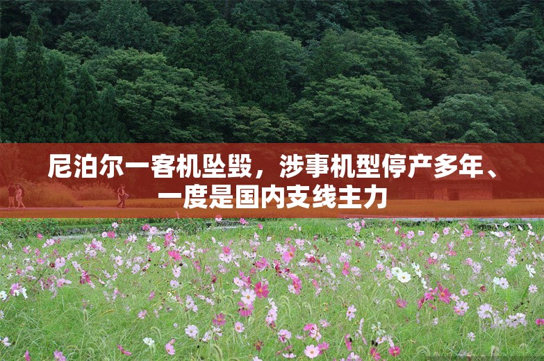 尼泊尔一客机坠毁，涉事机型停产多年、一度是国内支线主力