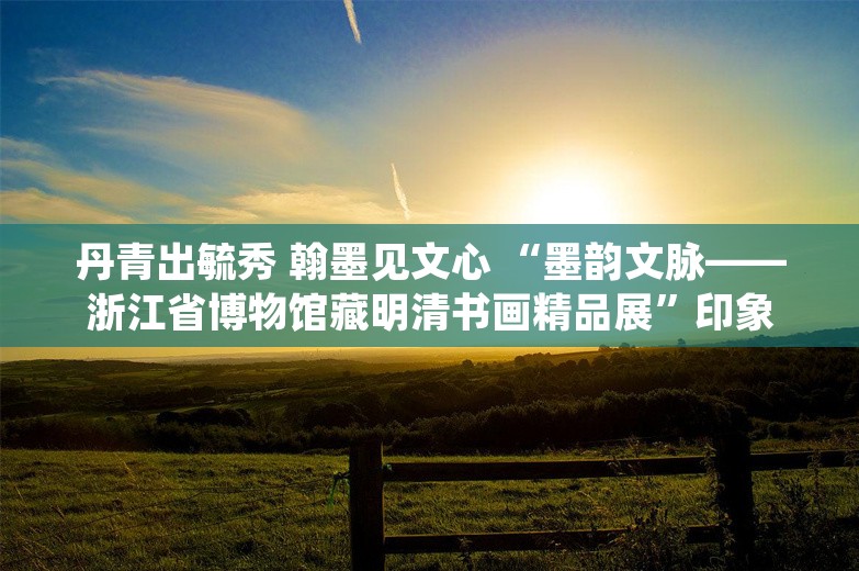 丹青出毓秀 翰墨见文心 “墨韵文脉——浙江省博物馆藏明清书画精品展”印象