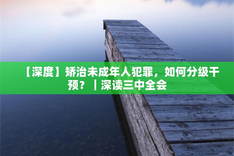 【深度】矫治未成年人犯罪，如何分级干预？｜深读三中全会