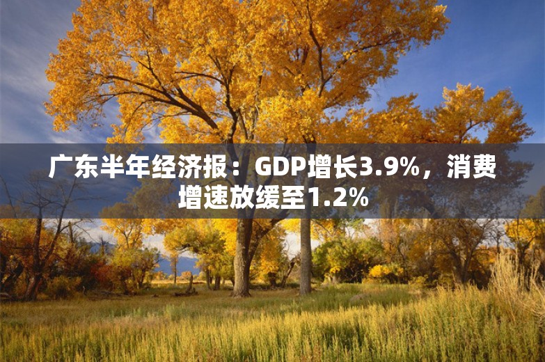 广东半年经济报：GDP增长3.9%，消费增速放缓至1.2%