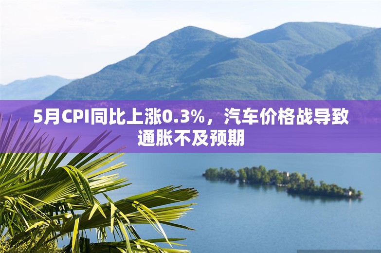 5月CPI同比上涨0.3%，汽车价格战导致通胀不及预期