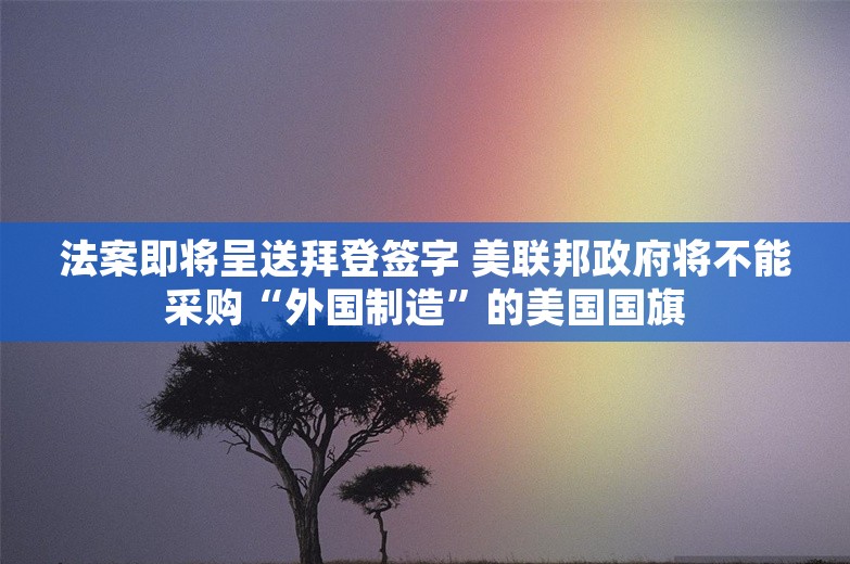 法案即将呈送拜登签字 美联邦政府将不能采购“外国制造”的美国国旗