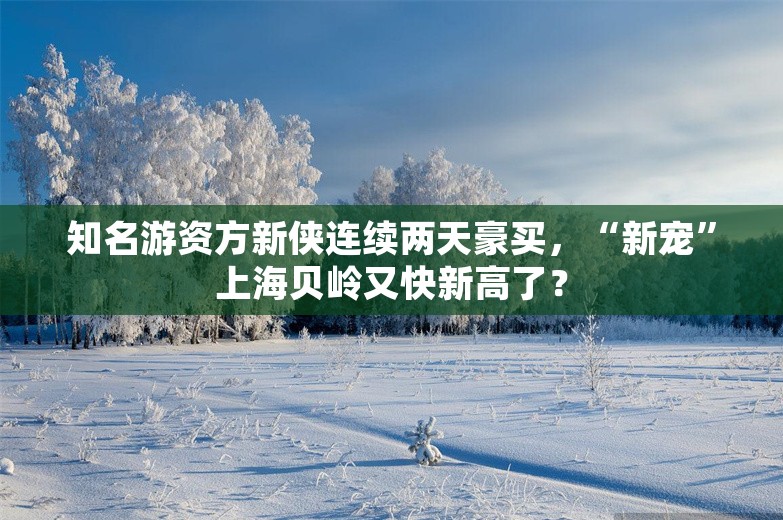 知名游资方新侠连续两天豪买，“新宠”上海贝岭又快新高了？