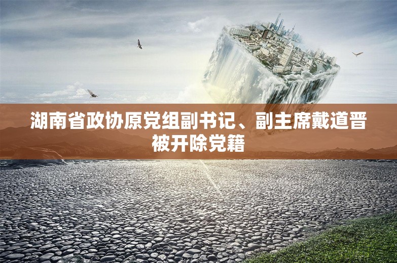 湖南省政协原党组副书记、副主席戴道晋被开除党籍