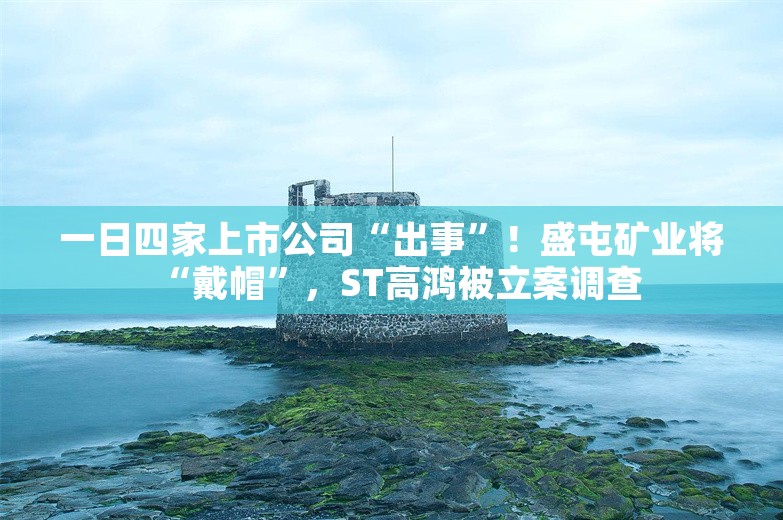 一日四家上市公司“出事”！盛屯矿业将“戴帽”，ST高鸿被立案调查