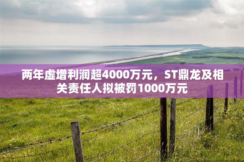 两年虚增利润超4000万元，ST鼎龙及相关责任人拟被罚1000万元