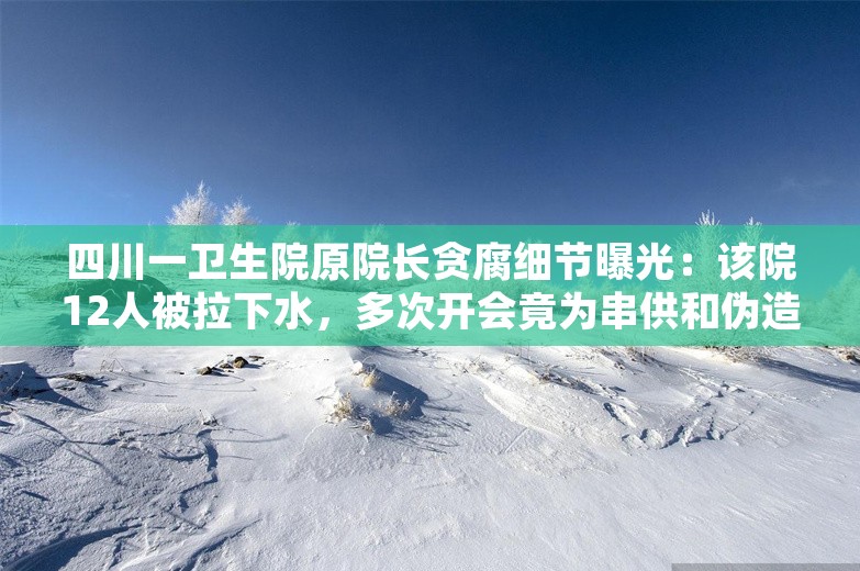 四川一卫生院原院长贪腐细节曝光：该院12人被拉下水，多次开会竟为串供和伪造账本