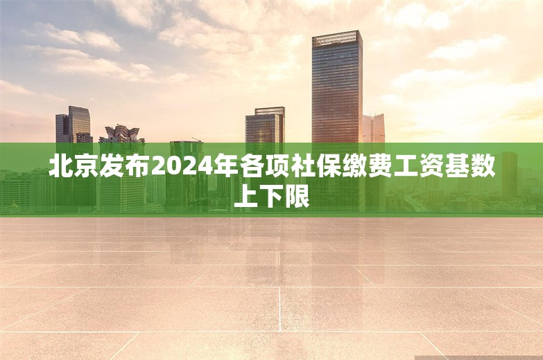 北京发布2024年各项社保缴费工资基数上下限