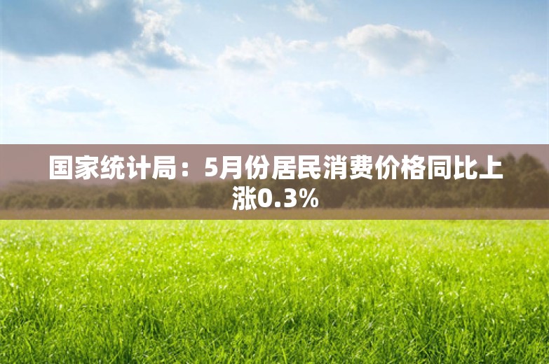 国家统计局：5月份居民消费价格同比上涨0.3%