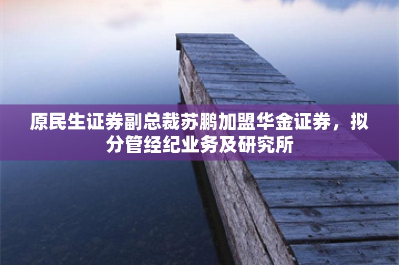 原民生证券副总裁苏鹏加盟华金证券，拟分管经纪业务及研究所