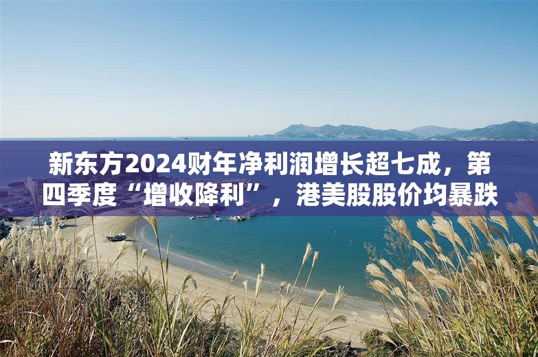 新东方2024财年净利润增长超七成，第四季度“增收降利”，港美股股价均暴跌