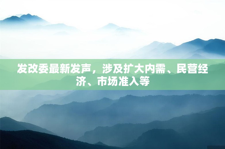 发改委最新发声，涉及扩大内需、民营经济、市场准入等