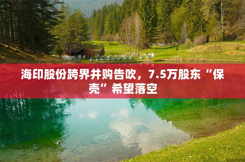 海印股份跨界并购告吹，7.5万股东“保壳”希望落空