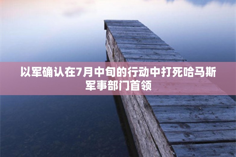 以军确认在7月中旬的行动中打死哈马斯军事部门首领