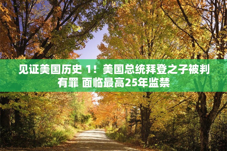 见证美国历史 1！美国总统拜登之子被判有罪 面临最高25年监禁