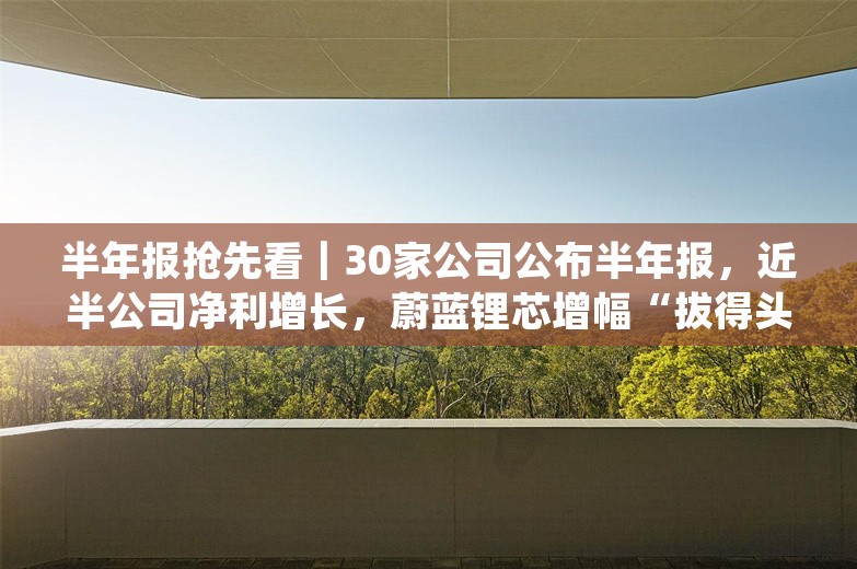 半年报抢先看｜30家公司公布半年报，近半公司净利增长，蔚蓝锂芯增幅“拔得头筹”