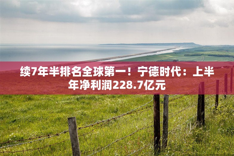 续7年半排名全球第一！宁德时代：上半年净利润228.7亿元