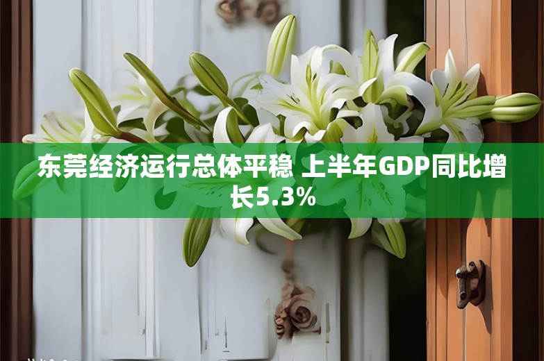 东莞经济运行总体平稳 上半年GDP同比增长5.3%