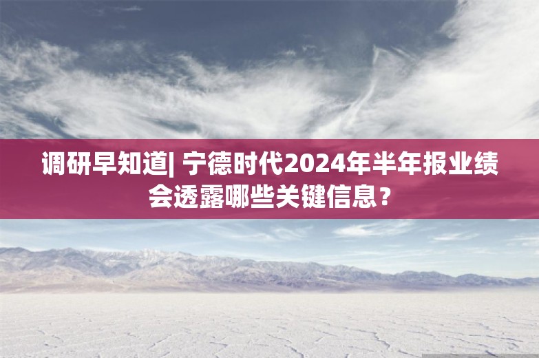 调研早知道| 宁德时代2024年半年报业绩会透露哪些关键信息？