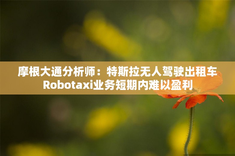 摩根大通分析师：特斯拉无人驾驶出租车Robotaxi业务短期内难以盈利