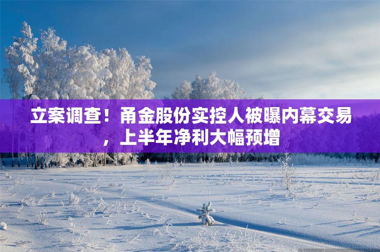 立案调查！甬金股份实控人被曝内幕交易，上半年净利大幅预增