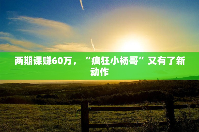 两期课赚60万，“疯狂小杨哥”又有了新动作