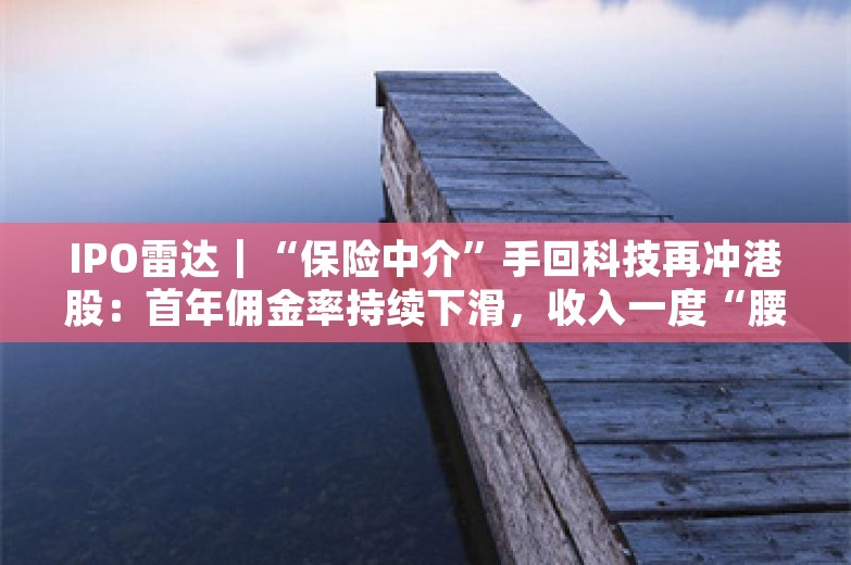 IPO雷达｜“保险中介”手回科技再冲港股：首年佣金率持续下滑，收入一度“腰斩”