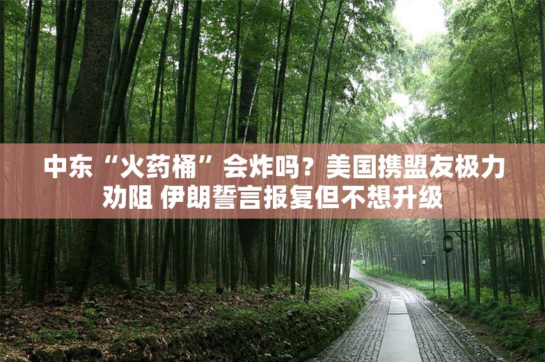 中东“火药桶”会炸吗？美国携盟友极力劝阻 伊朗誓言报复但不想升级