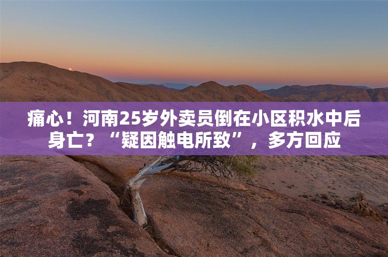 痛心！河南25岁外卖员倒在小区积水中后身亡？“疑因触电所致”，多方回应