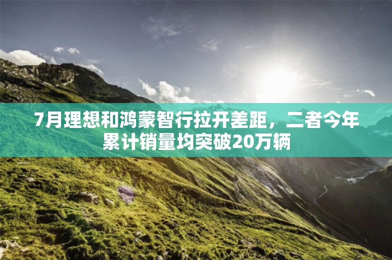 7月理想和鸿蒙智行拉开差距，二者今年累计销量均突破20万辆