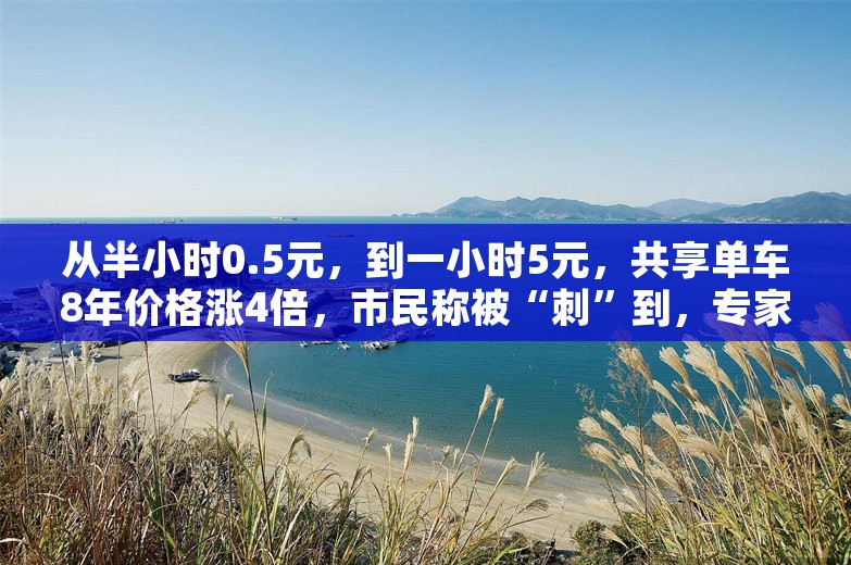 从半小时0.5元，到一小时5元，共享单车8年价格涨4倍，市民称被“刺”到，专家：不太赞同“割韭菜”的说法