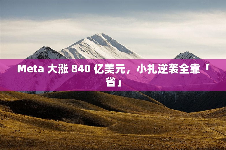 Meta 大涨 840 亿美元，小扎逆袭全靠「省」