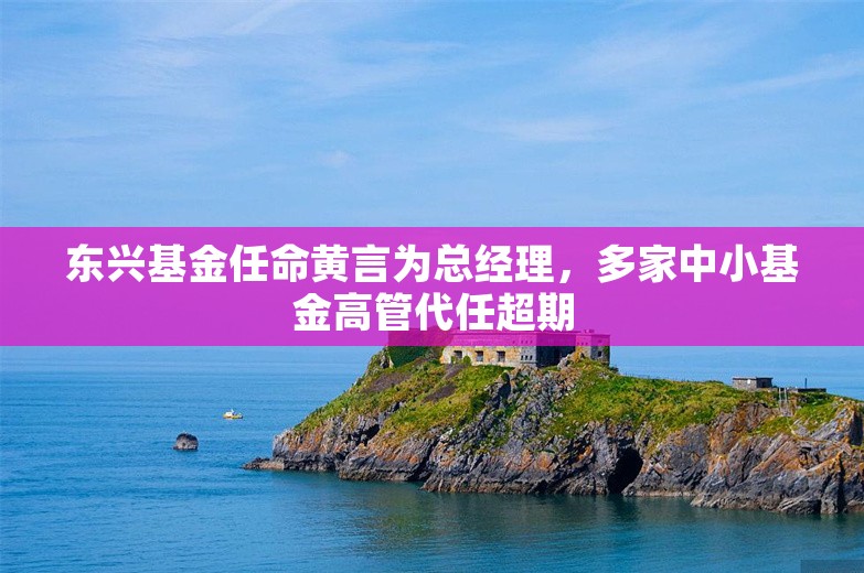 东兴基金任命黄言为总经理，多家中小基金高管代任超期