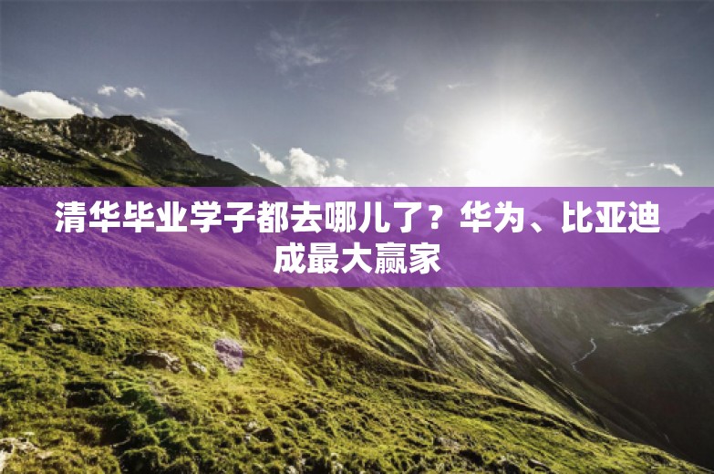 清华毕业学子都去哪儿了？华为、比亚迪成最大赢家