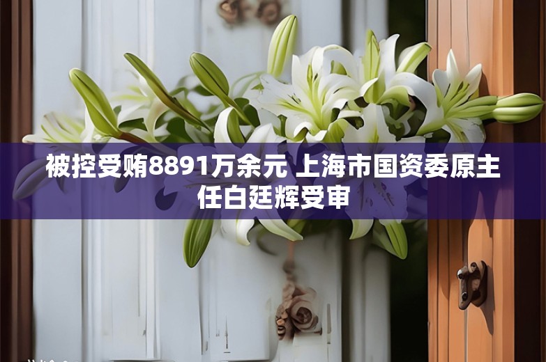 被控受贿8891万余元 上海市国资委原主任白廷辉受审