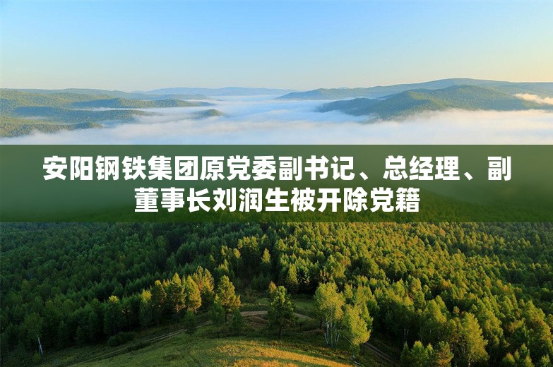 安阳钢铁集团原党委副书记、总经理、副董事长刘润生被开除党籍