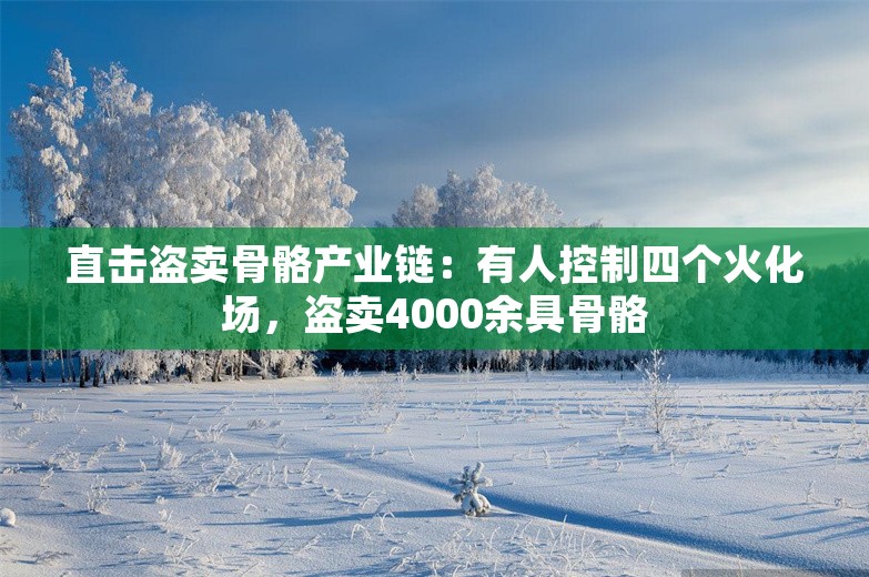 直击盗卖骨骼产业链：有人控制四个火化场，盗卖4000余具骨骼